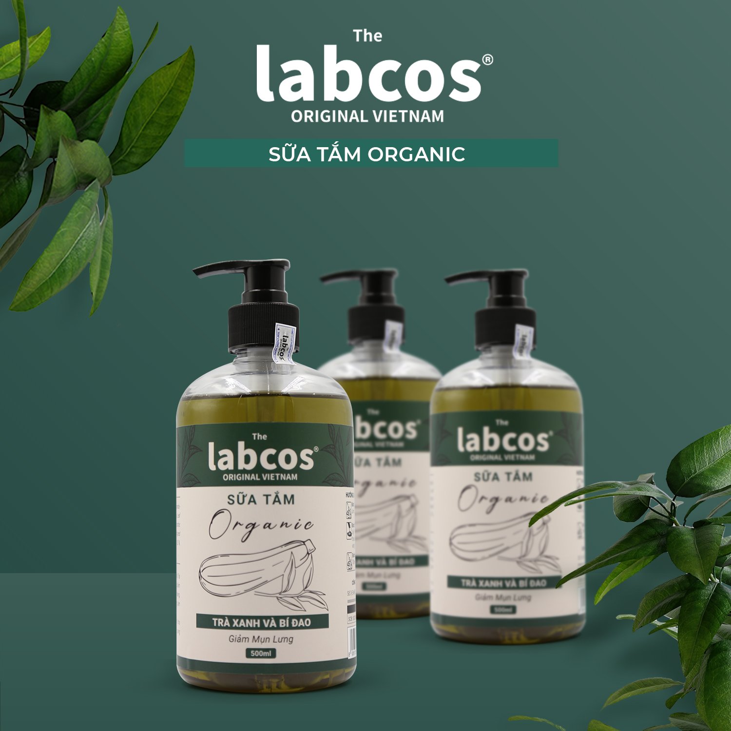 71068a58341cee42b70d