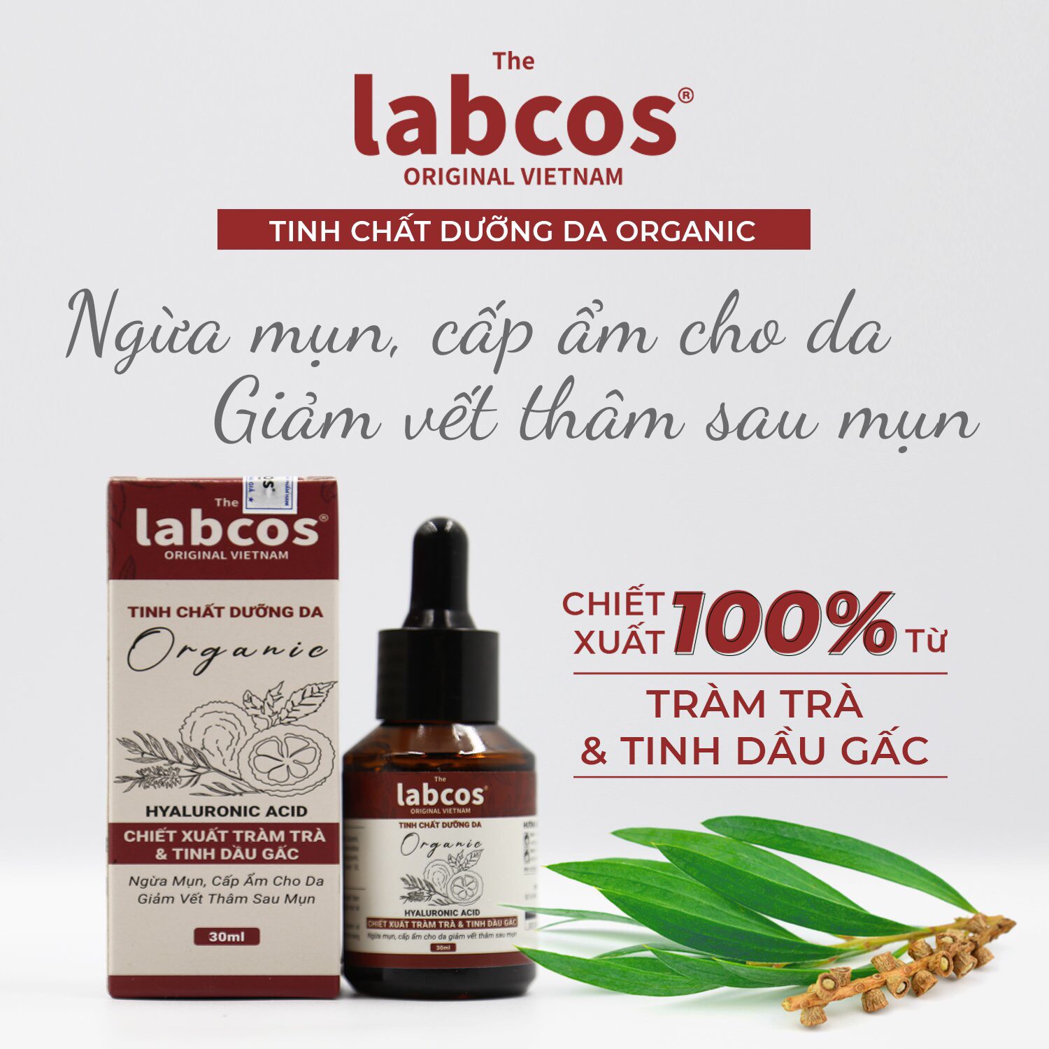 z4088405205349_0f068dc5ccc34693f248674e391cb2cc