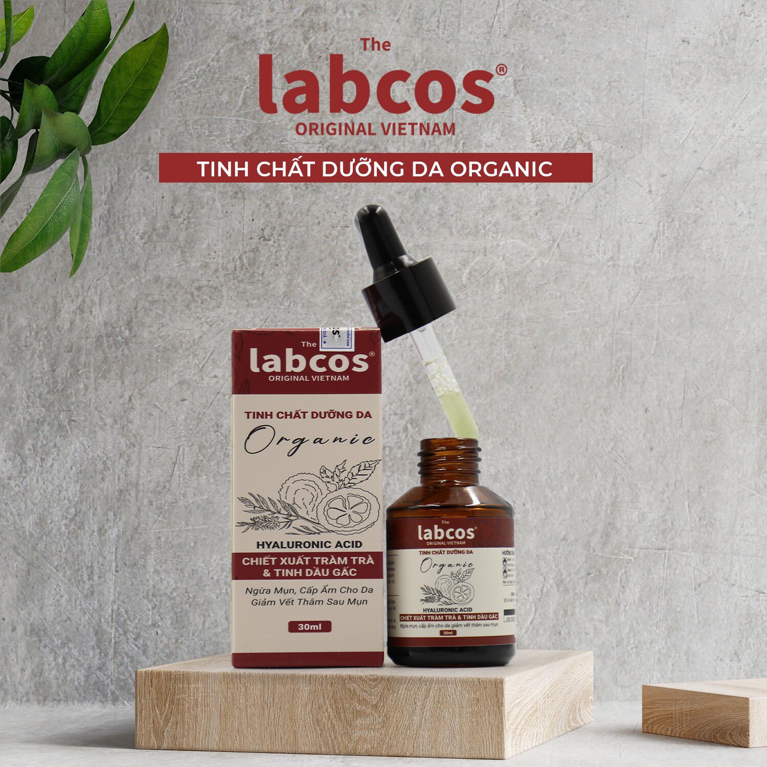 z4088405209280_2b99c1846b41dc69d39a19e9a25e409b