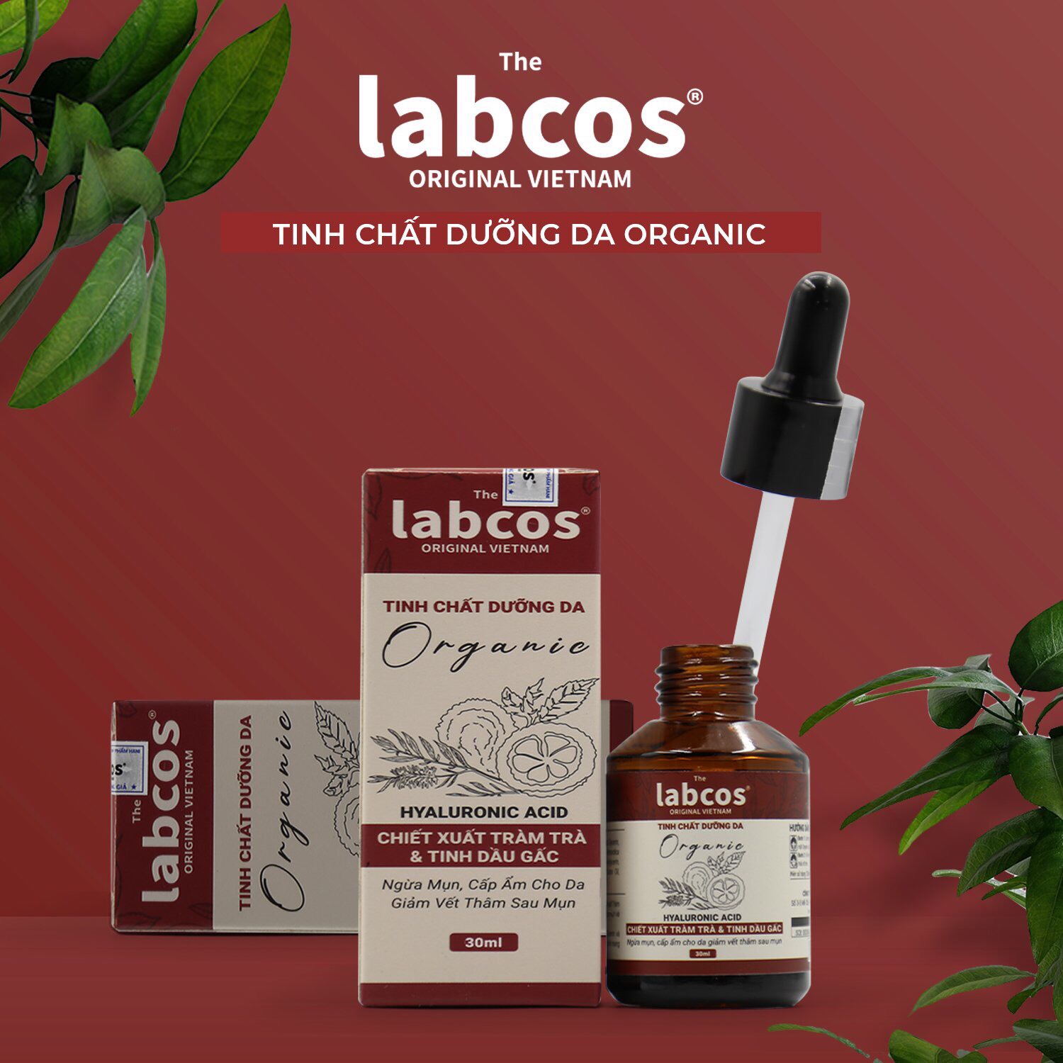 z4088405217096_4b89aec5be781db3f1247502d170be00