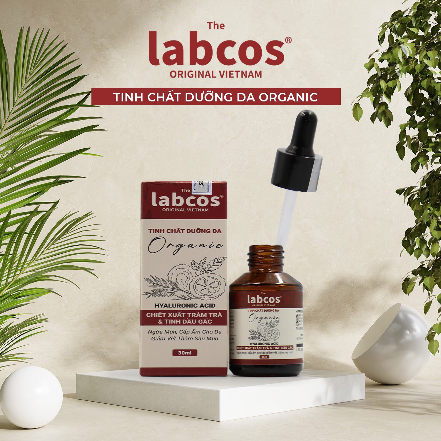 z4088405228421_11742c559133e25ea0df3bebedc0b9fb