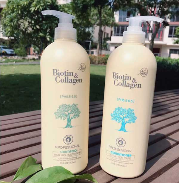 z4761914342488_1705280dec80dc61b9137400639c7abf